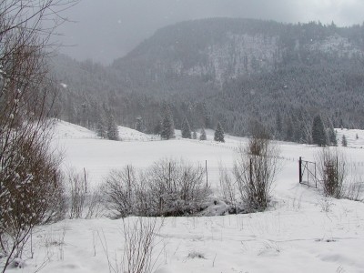06-Winterlandschaft.jpg