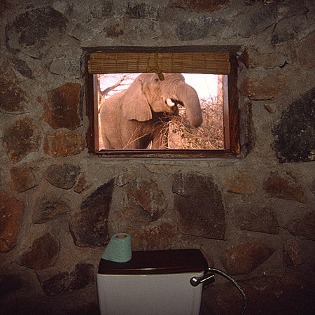 Ruaha River Lodge, Tanzania 2002.jpg