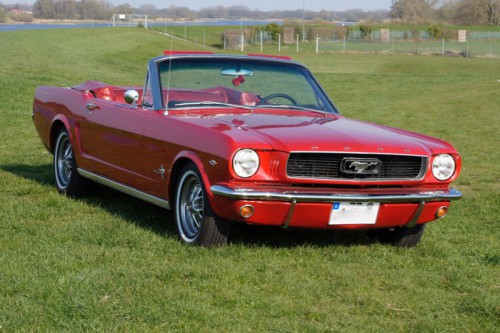 Mustang.jpeg