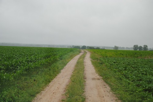 Die Touren führen weit ins Hinterland…