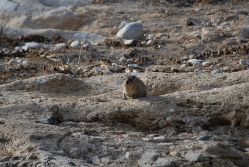 Namibia 006.jpg