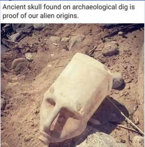 skull.jpg