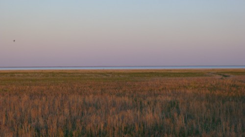 Am nördlichen Aralsee. Unweit von Aralsk. Mit Wasser. Kasachstan.