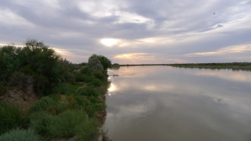 Am Syrdarya. Nähe Baikonur. Östlich von Aralsk.