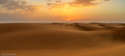 Wahiba Sands