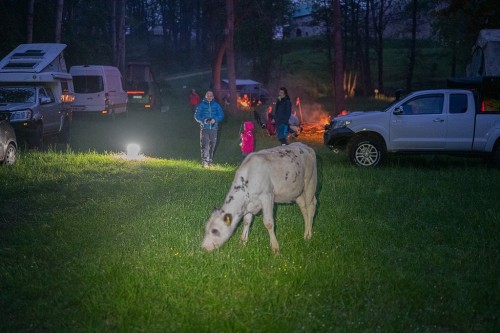 Eure Luxe haben unseren kleinen &quot;Tierpark&quot; bereichert und bestimmt auch die Wölfin von Ohrdruf ferngehalten, die ums Eck wohnt :-)