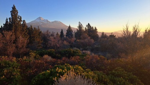 Mt_Shasta.jpg