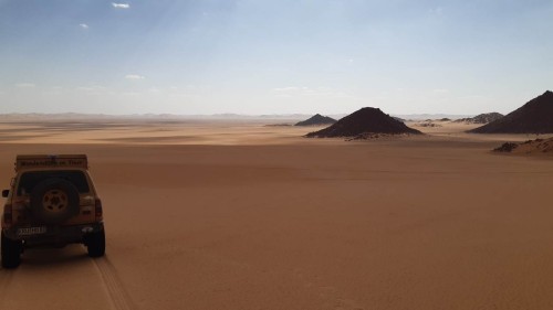 20231006_152914.jpg