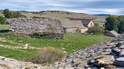 20241002_145231.jpg