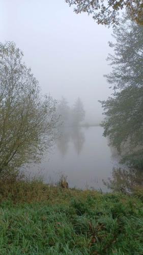 20241020_100617.jpg