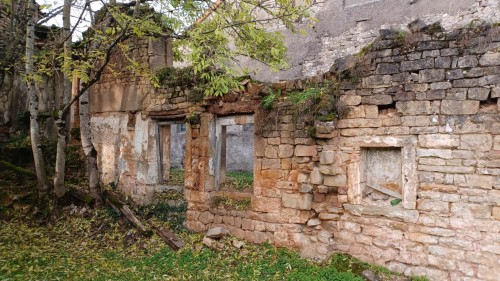 20241020_170434.jpg