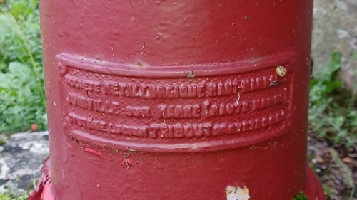 20241020_171525.jpg