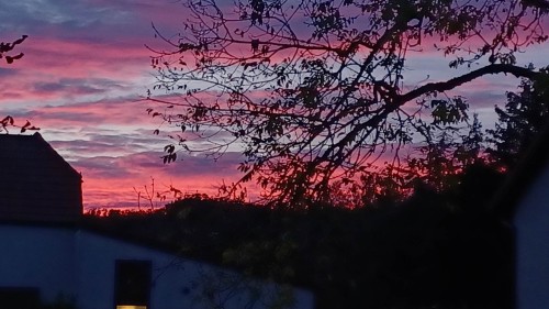 20241020_184910.jpg