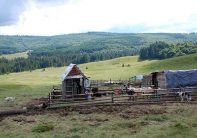 DSC_0046.jpg