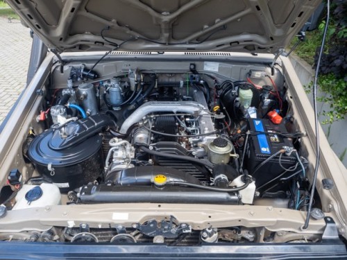 _ALF0688Hzj 4.jpg