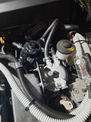 WhatsApp Bild 2025-07-11 um 17.45.58_46a01fdf.jpg