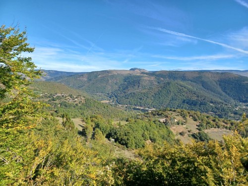 20250930_105646.jpg