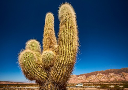 Salta, Agentina 2012.jpg