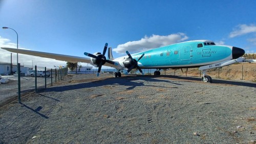 3786.jpg
