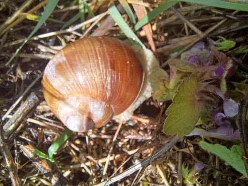 20260505_134223.jpg