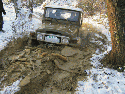 Picture-282.gif