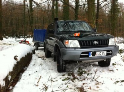 Im Wald 2.jpg