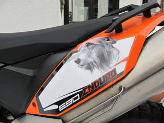 Der "Wolfhound" der KTM Enduros  :-)