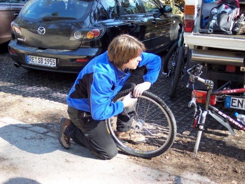 Wechsel der vom Toyo heißverformten Decke