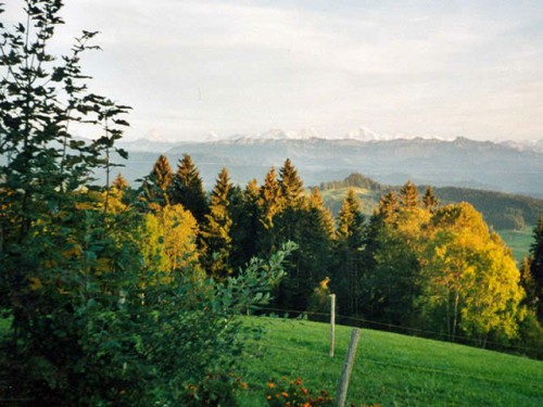 herbstliche_aussicht_vom_ringgis.jpg