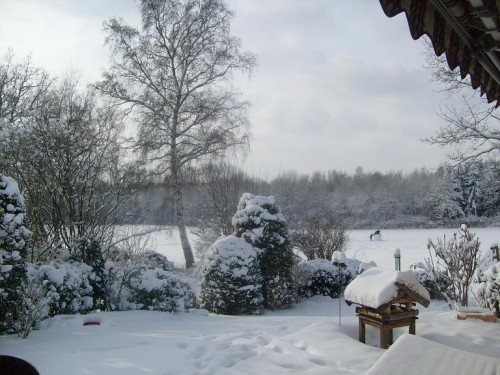 Unser Garten im Schnee