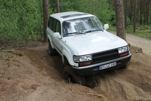 Fürstenau Mai 2012 075.JPG