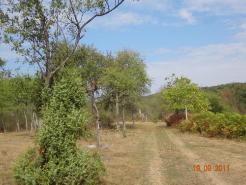 DSC01180.JPG