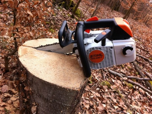 stihl200T.jpg