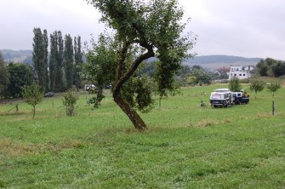 DSC_0420_450x299.JPG