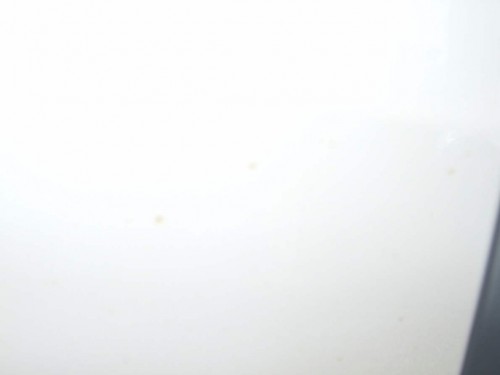 DPP_ Toyo0003.JPG