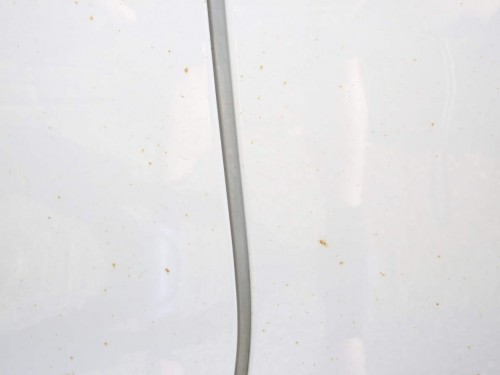 DPP_ Toyo0004.JPG
