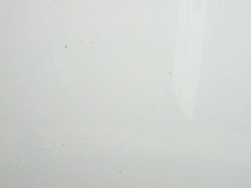 DPP_ Toyo0011.JPG