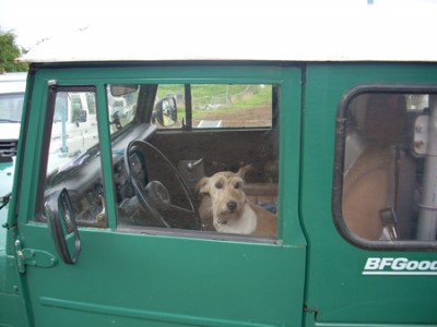 DSCN1080.jpg