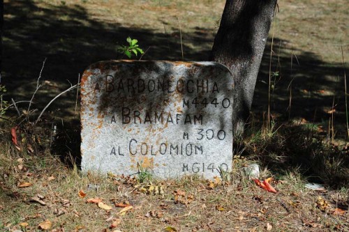 ALP_0708.JPG
