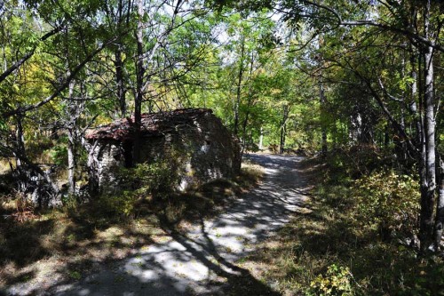 ALP_0710.JPG