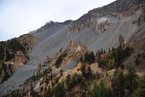 ALP_0905.JPG