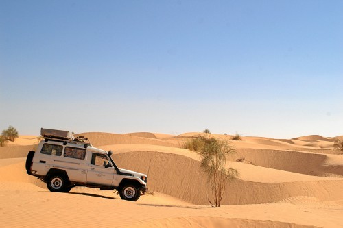 Schönste Vitrine der Welt
