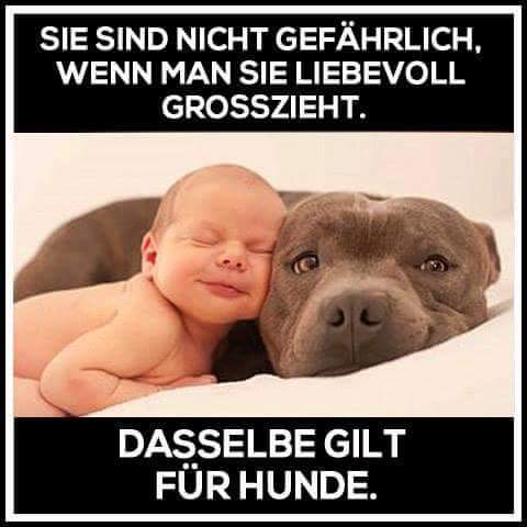 FB_IMG_1471241742062.jpg