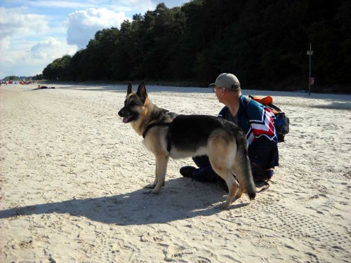 hund1.jpg