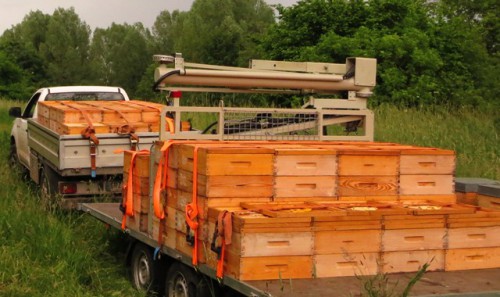 Sommerarbeit