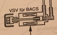 VSV.jpg