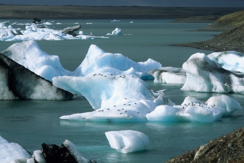 Jökulsarlon-#2.jpg