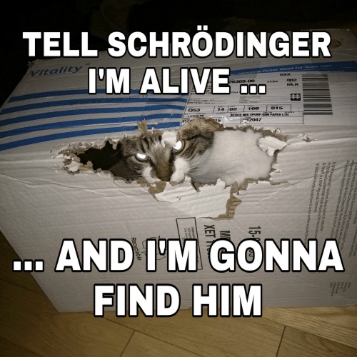 Schrödinger 1.jpg