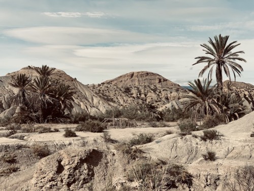 &quot;Lawrence of Arabia&quot; Oase, Tabernas