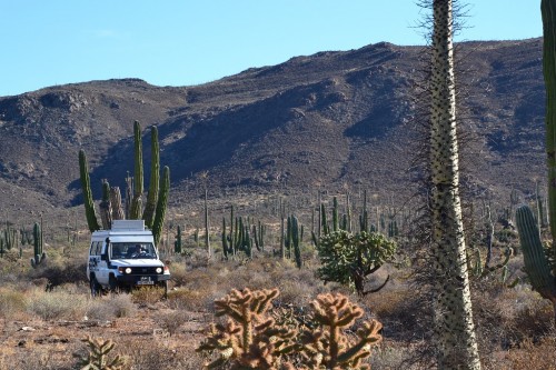 Baja California in Mexiko 2014